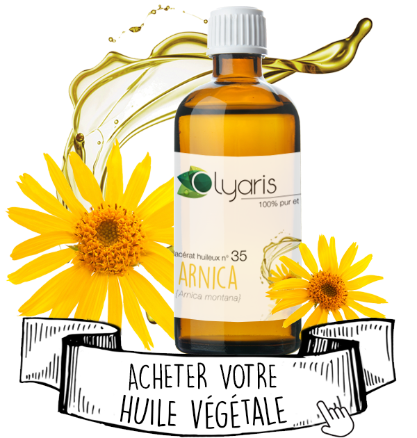 Huile Végétale d'Arnica (Macérât Huileux) : le Guide d'Utilisation Complet - Olyaris